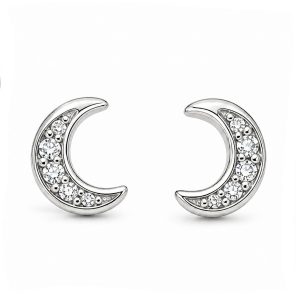 925 Sterling Silver Stud Earrings HLL-SSE02444