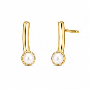 925 Sterling Silver Stud Earrings HLL-SSE02543