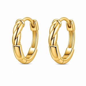 925 Sterling Silver Hoop Earrings HLL-SSE02617